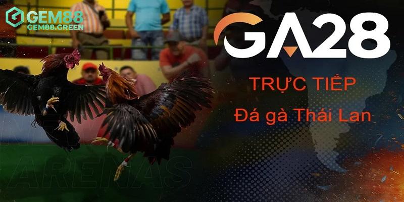 Vài điều về sân chơi đá gà GA28 đẳng cấp Vài điều về sân chơi đá gà GA28 đẳng cấp